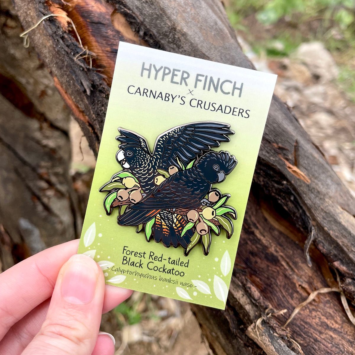 Forest Red-tailed Black Cockatoo Enamel Pin