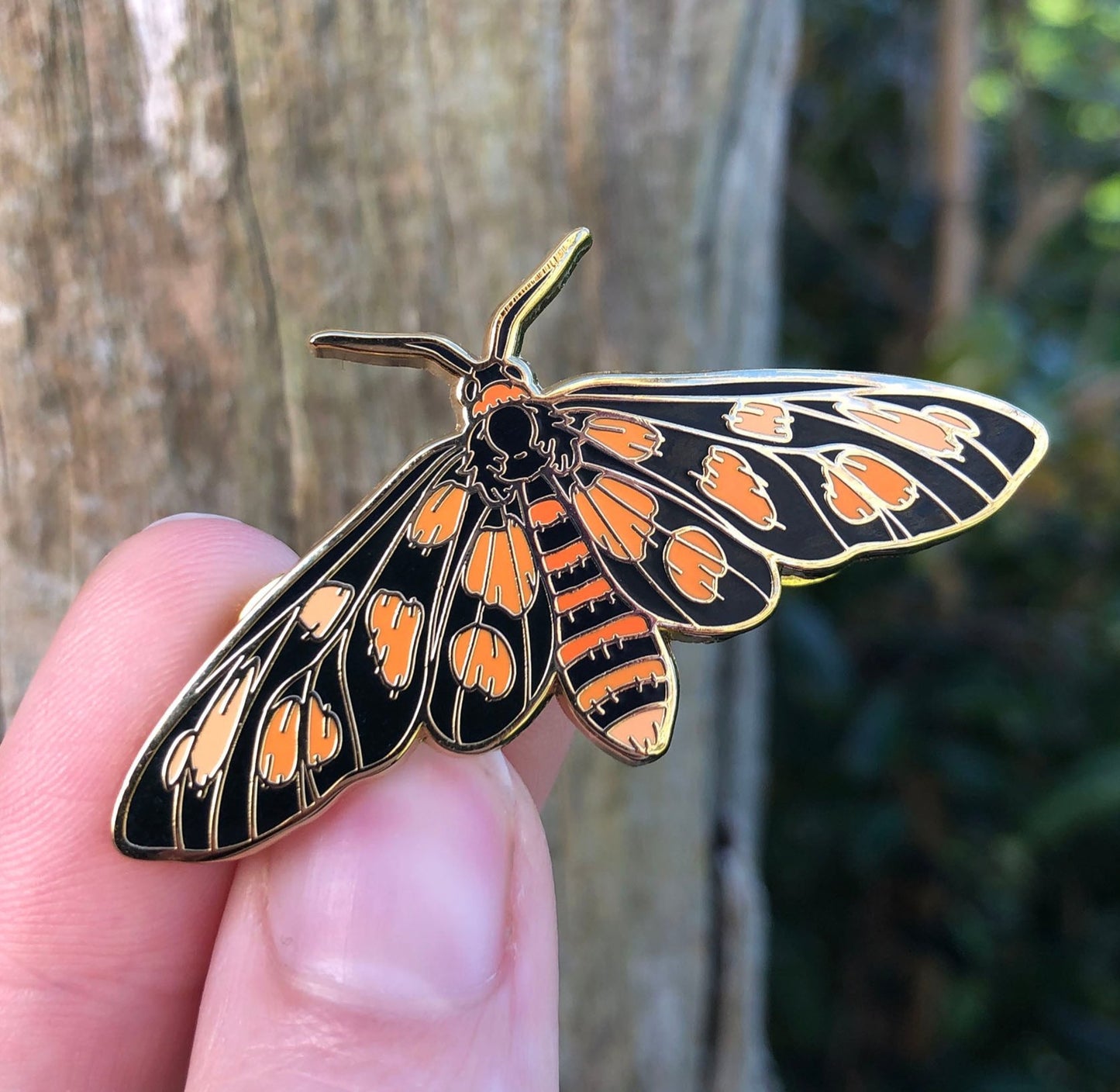 Tiger Moth Enamel Pin