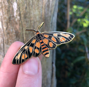 Tiger Moth Pin