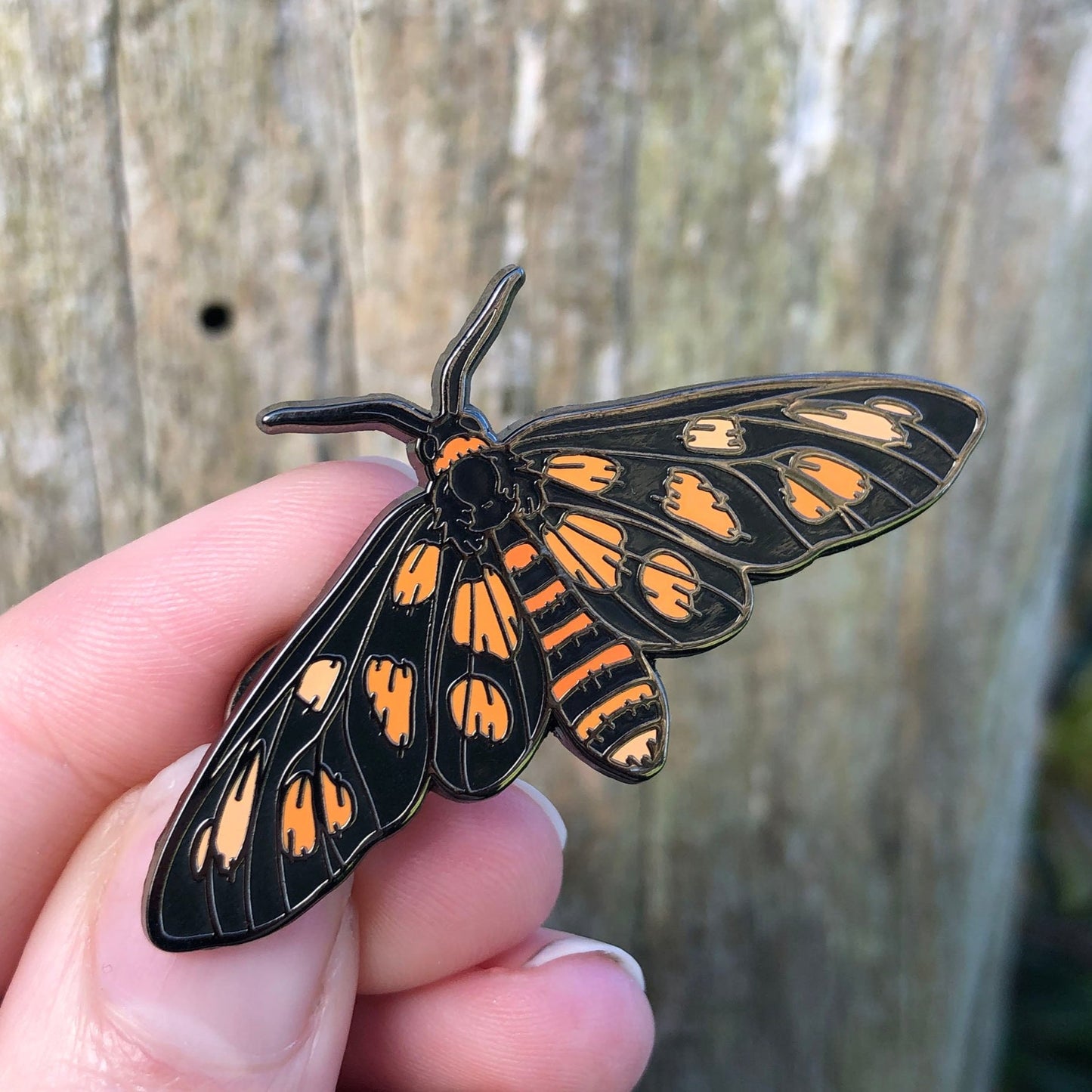 Tiger Moth Enamel Pin