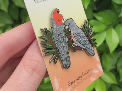 Gang-gang Cockatoos Enamel Pin