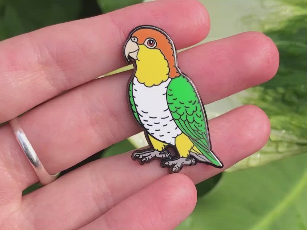 Widget the White-Bellied Caique Enamel Pin