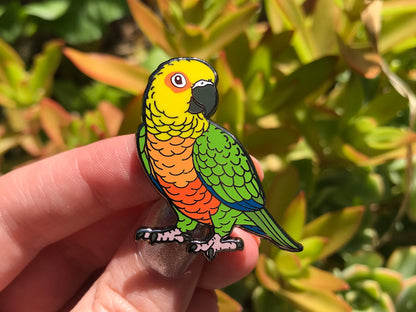 Jenday Conure Enamel Pin