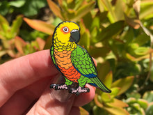 Load image into Gallery viewer, Jenday Conure Hard Enamel Pin