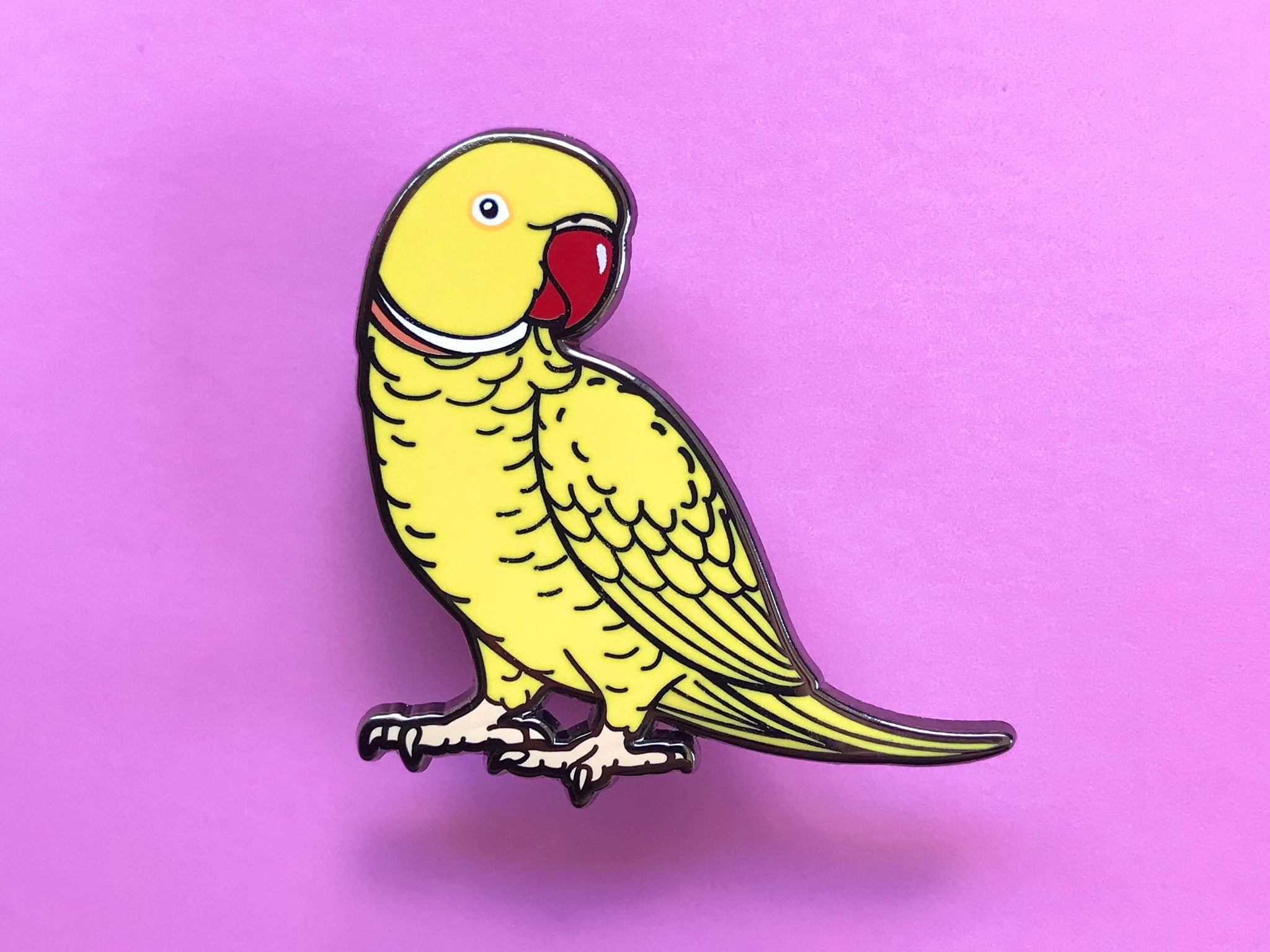 Lutino Indian Ringneck Parakeet Pose Notebook | Zazzle