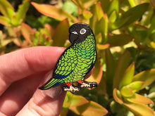 Load image into Gallery viewer, Nanday Conure Hard Enamel Pin