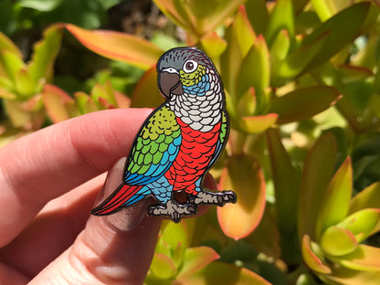 Crimson Bellied Conure Enamel Pin