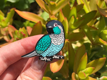 Load image into Gallery viewer, Green-Cheeked Conure Hard Enamel Pin