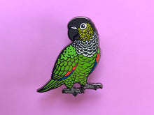 Load image into Gallery viewer, Black Capped Conure Hard Enamel Pin