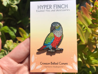 Crimson Bellied Conure Enamel Pin