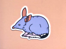 Load image into Gallery viewer, Greater Bilby Sticker