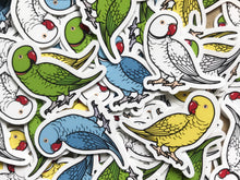 Load image into Gallery viewer, Mixed Indian Ringneck Mini Sticker Pack (20 pack)