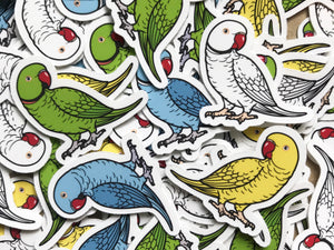 Mixed Indian Ringneck Mini Sticker Pack (20 pack)