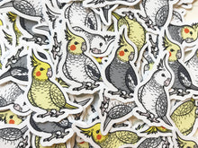 Load image into Gallery viewer, Mixed Cockatiel Mini Sticker Pack (20 pack)
