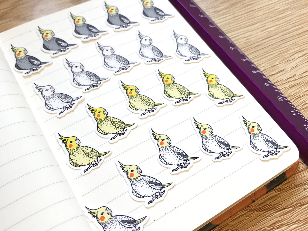 Mixed Cockatiel Mini Sticker Pack (20 pack)