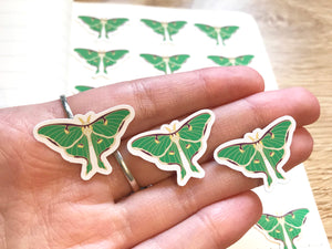 Luna Moth Mini Sticker Pack (20 pack)