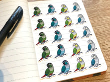 Load image into Gallery viewer, Mixed Green-Cheeked Conure Mini Sticker Pack (20 pack)