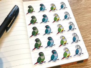 Mixed Green-Cheeked Conure Mini Sticker Pack (20 pack)