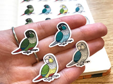 Load image into Gallery viewer, Mixed Green-Cheeked Conure Mini Sticker Pack (20 pack)