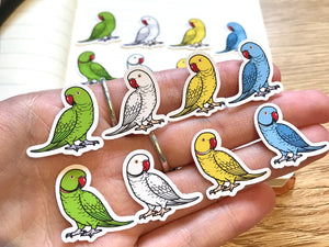Mixed Indian Ringneck Mini Sticker Pack (20 pack)