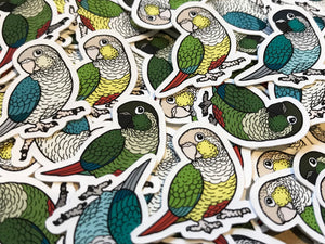 Mixed Green-Cheeked Conure Mini Sticker Pack (20 pack)