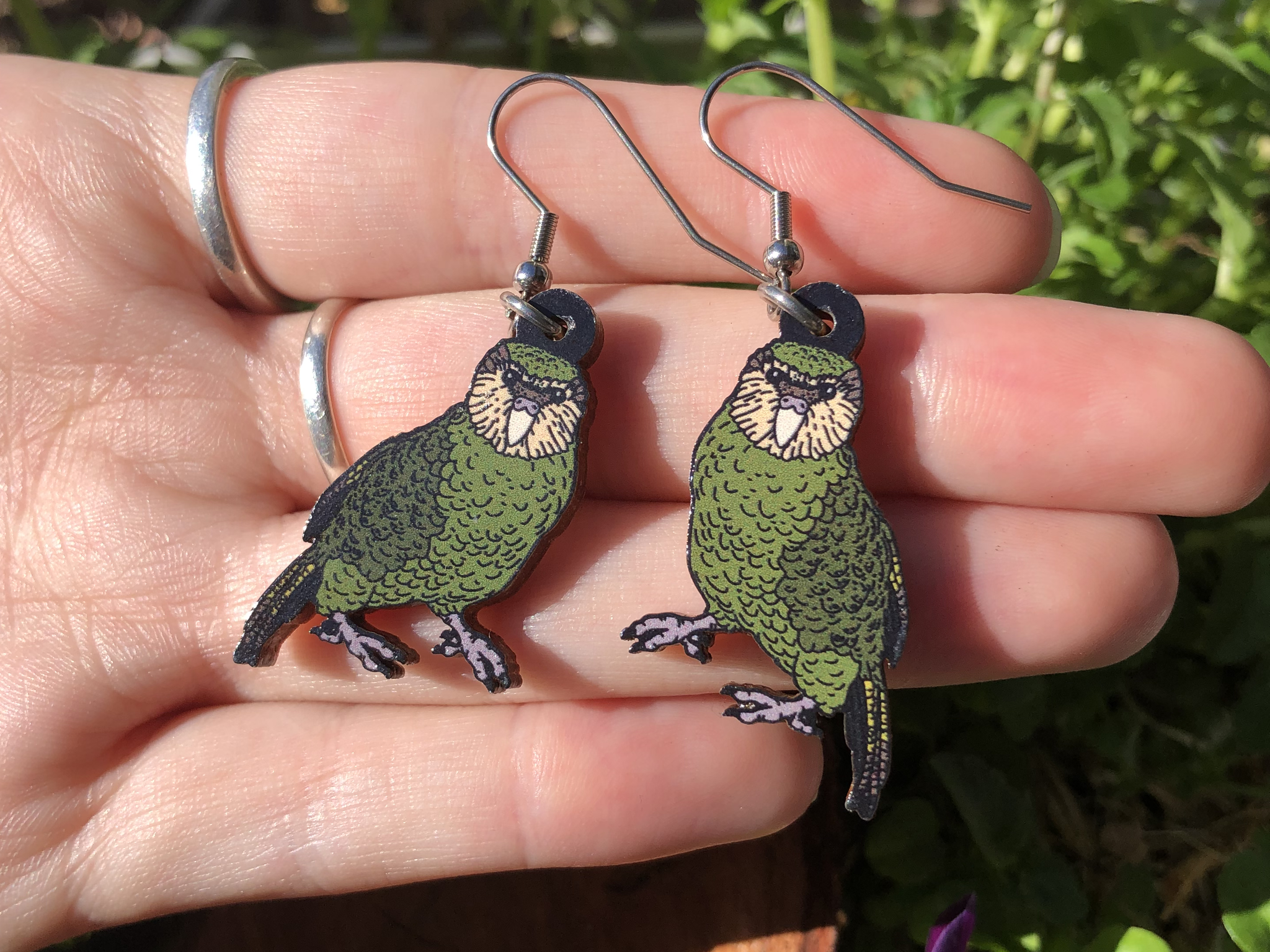 Green parrot colour Earrings & Studs