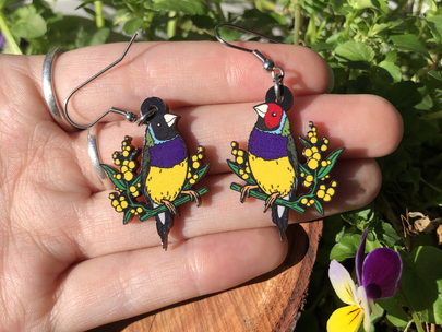 Gouldian Finch Wooden Earrings