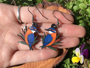 Common Kingfisher Wooden Earrings