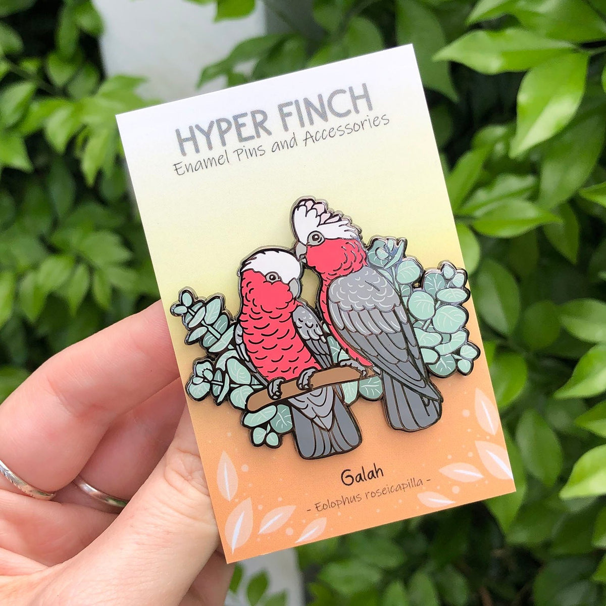 Galahs / Rose-breasted Cockatoos Enamel Pin