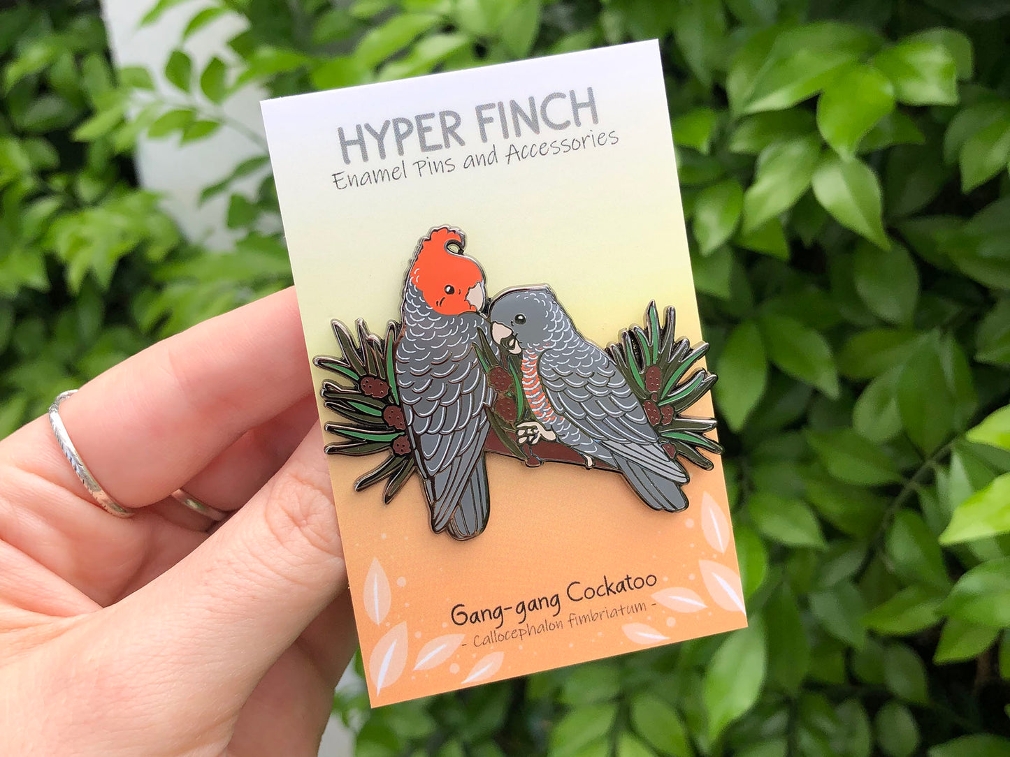 Gang-gang Cockatoos Enamel Pin