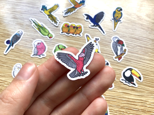 Hyper Finch x BirdTricks Mini Sticker Pack (20 pack)