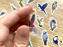 Load image into Gallery viewer, Hyper Finch x BirdTricks Mini Sticker Pack (20 pack)