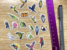 Load image into Gallery viewer, Hyper Finch x BirdTricks Mini Sticker Pack (20 pack)