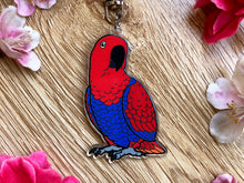 Load image into Gallery viewer, Eclectus Parrot Keychain (Female)