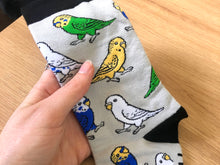 Load image into Gallery viewer, Budgie Socks