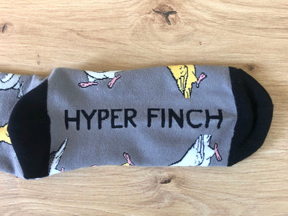 Cockatiel Socks