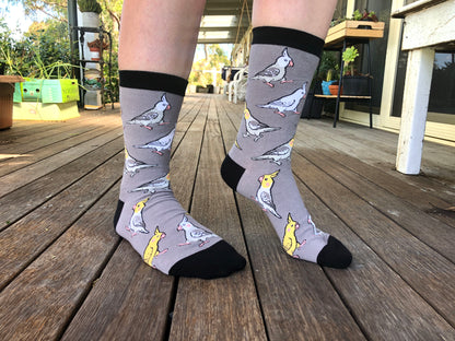 Cockatiel Socks