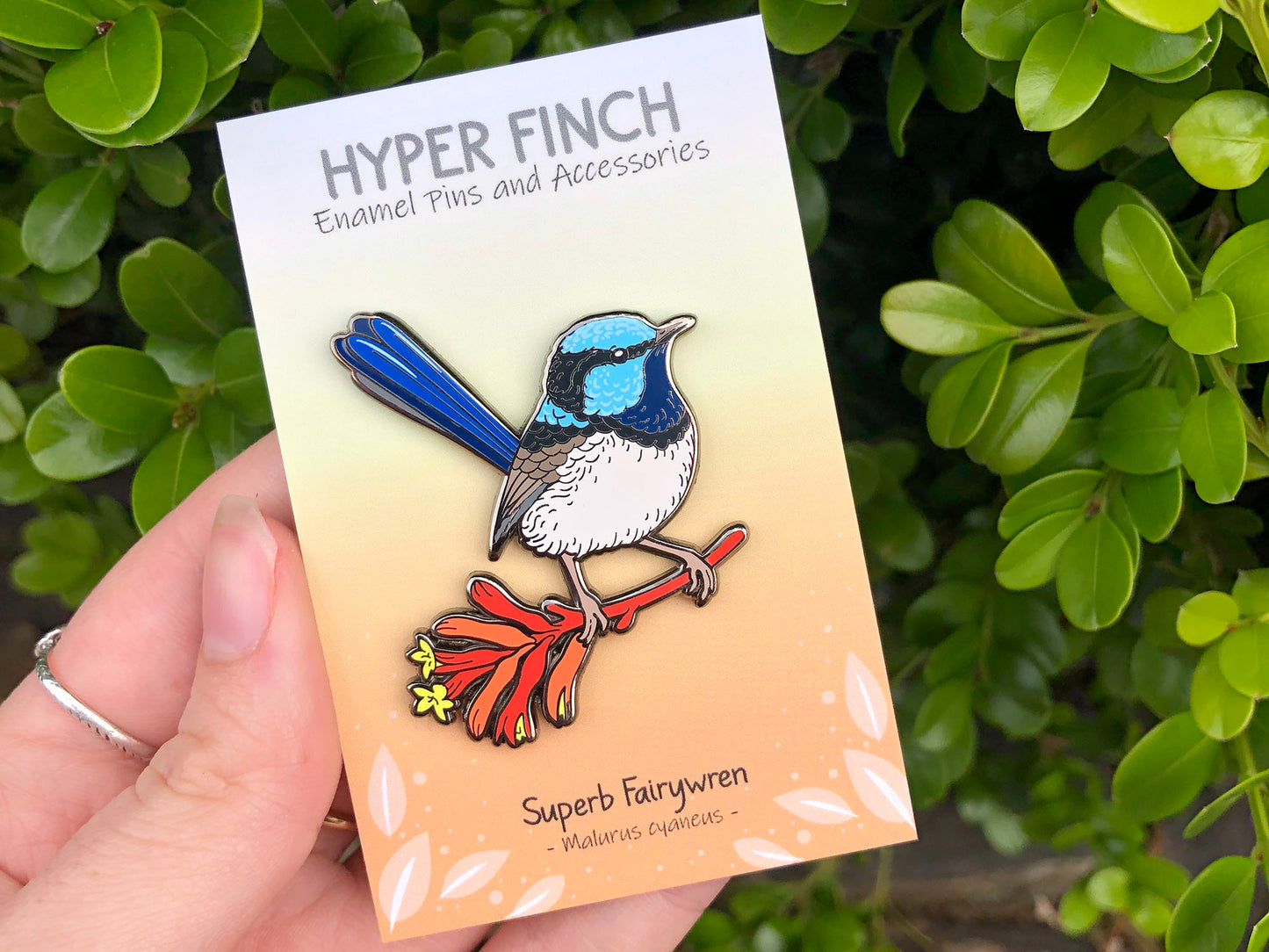 Superb Fairywren Enamel Pin