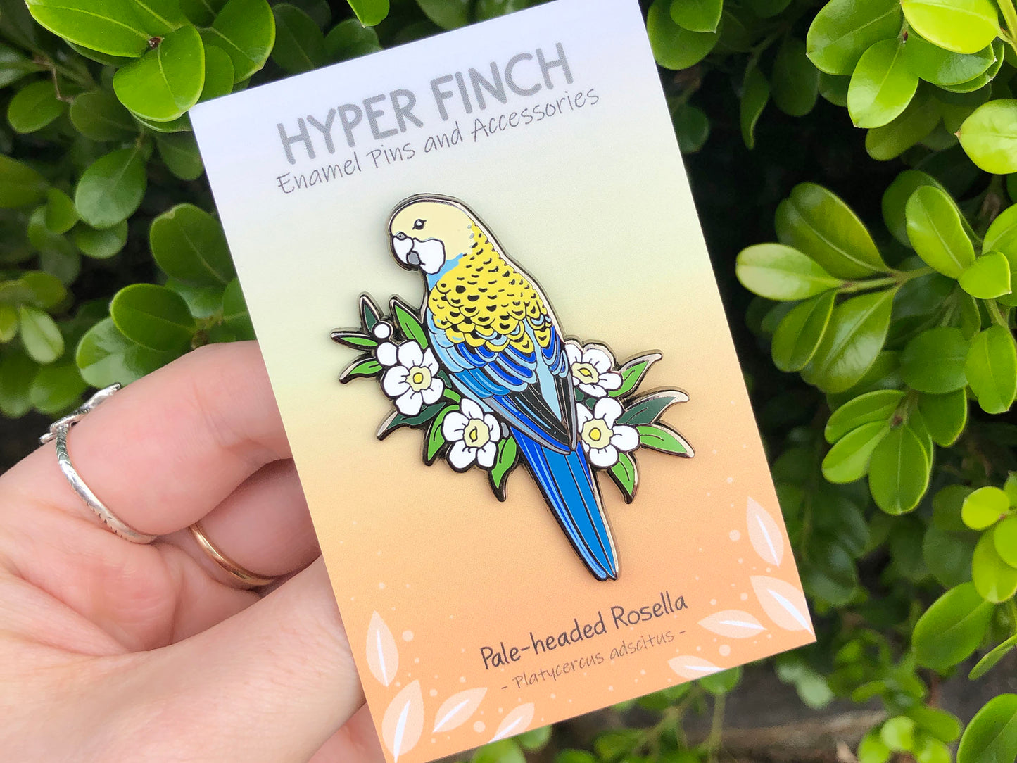 Pale-headed Rosella Enamel Pin