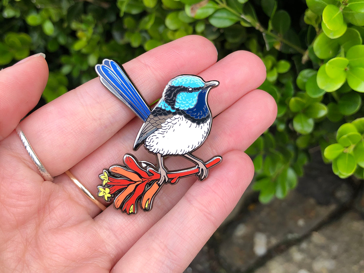 Superb Fairywren Enamel Pin