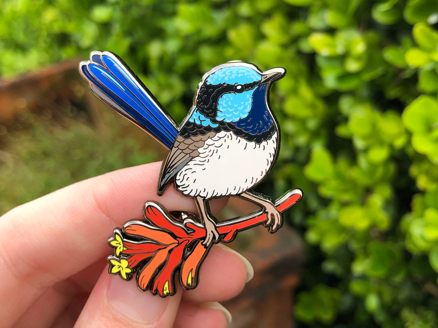 Superb Fairywren Enamel Pin