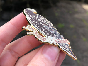 Wedge-tailed Eagle Hard Enamel Pin (Gold Variant)