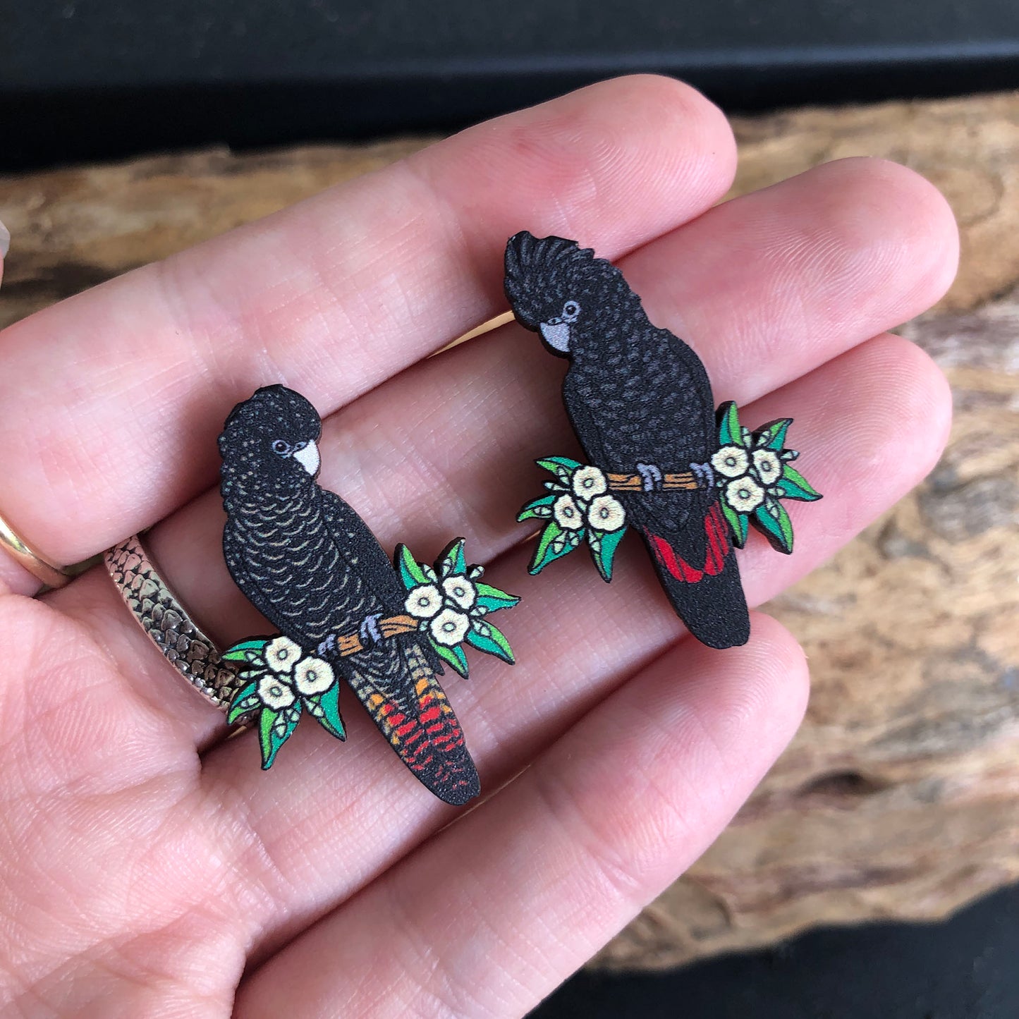 Red-tailed Black Cockatoo Wooden Earrings