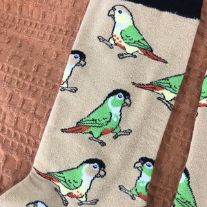 Green Cheek Conure Socks