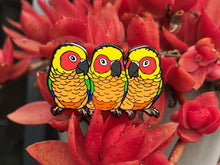 Load image into Gallery viewer, Lily, Phoebe &amp; Detka The Sun Conure Sisters Hard Enamel Pin