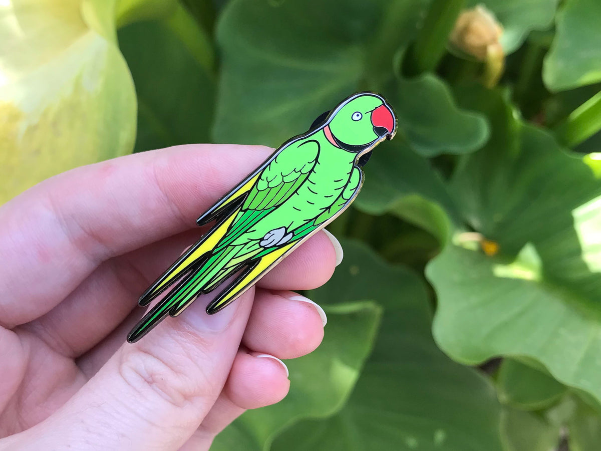 Touché the Indian Ringneck Enamel Pin – Hyper Finch
