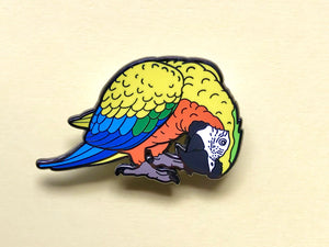 Comet The Camelot Macaw Hard Enamel Pin