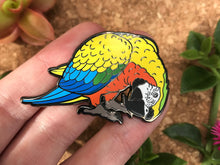 Load image into Gallery viewer, Comet The Camelot Macaw Hard Enamel Pin