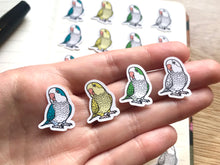 Load image into Gallery viewer, Mixed Quaker Parrot Mini Sticker Pack (20 pack)