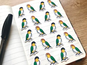 Mixed Caique Mini Sticker Pack (20 pack)